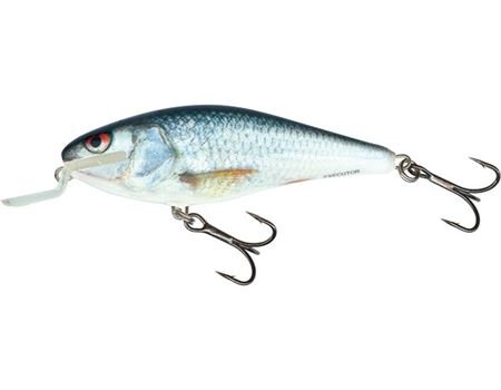 Salmo Executor Shallow Runner 7 cm, RR, floating